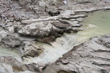 1223-Rotorua-0075.jpg