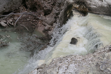 1223-Rotorua-0077.jpg
