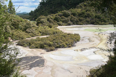 1223-Rotorua-0088.jpg