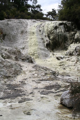 1223-Rotorua-0093.jpg