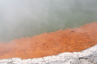 Rotorua
