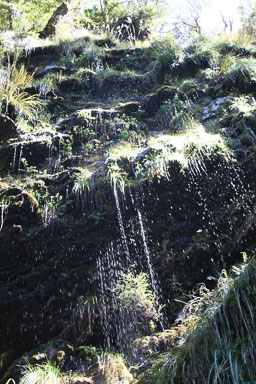 0103-RouteburnTrack-0019.jpg