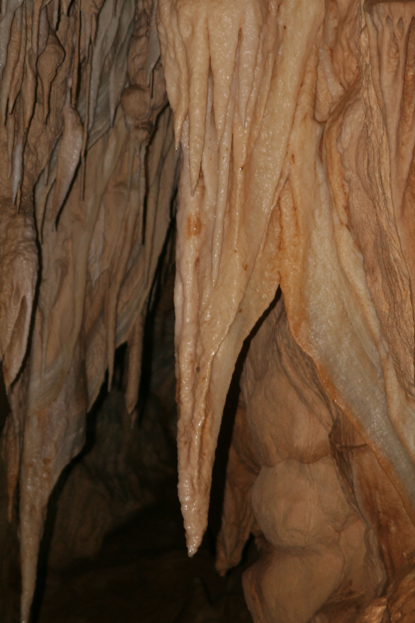 1222-WaitomoCaves-0002.jpg