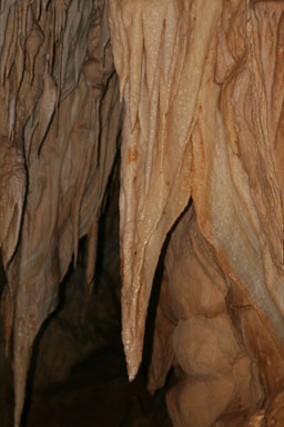 1222-WaitomoCaves-0002.jpg