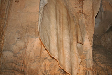 Waitomo Caves