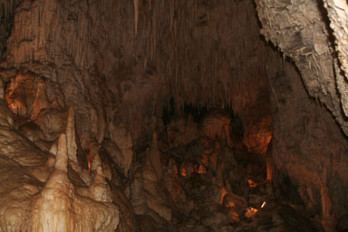 1222-WaitomoCaves-0013.jpg