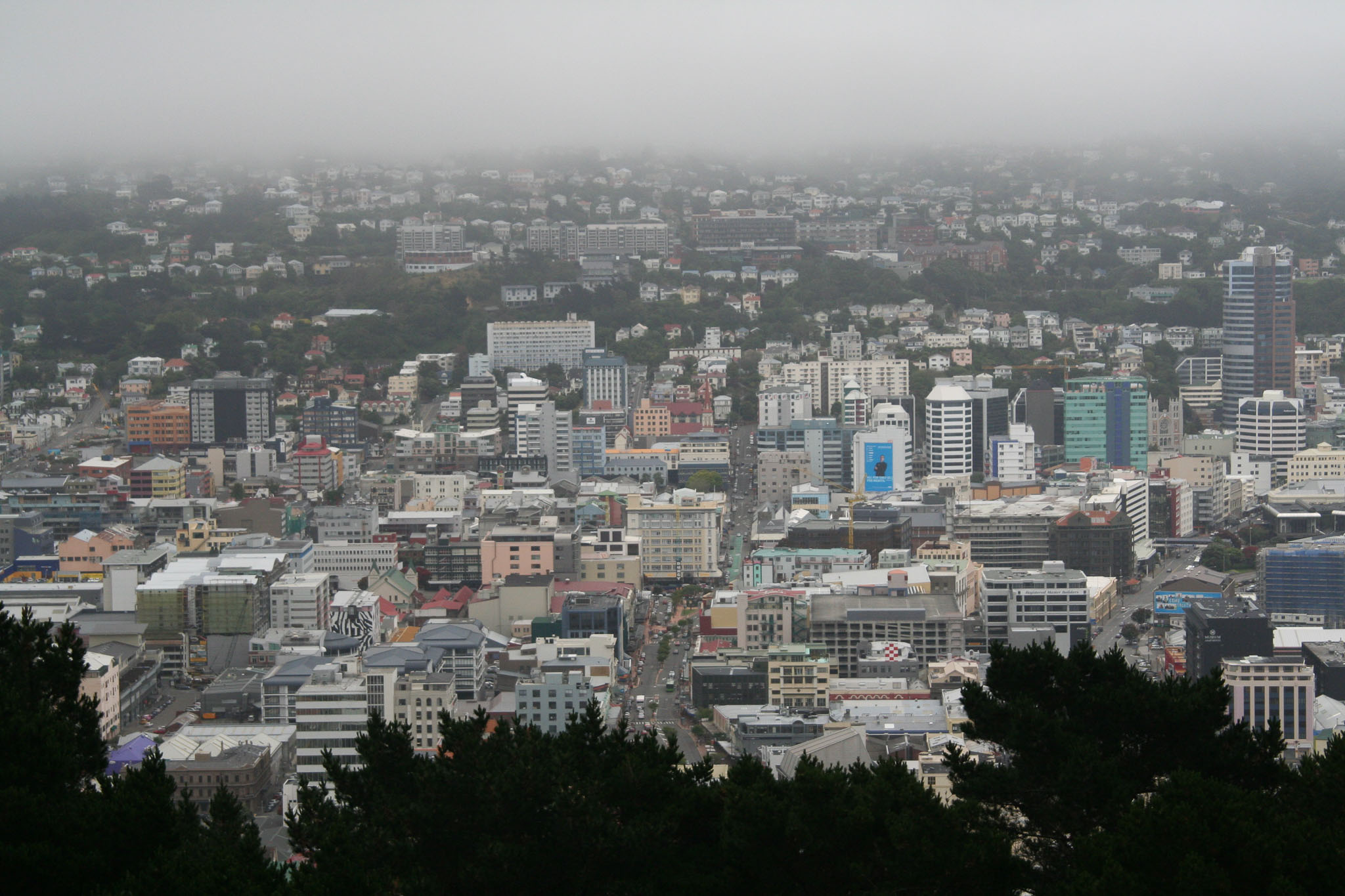 1227-Wellington-0009.jpg