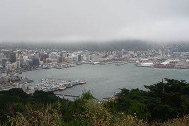 1227-Wellington-0010.jpg