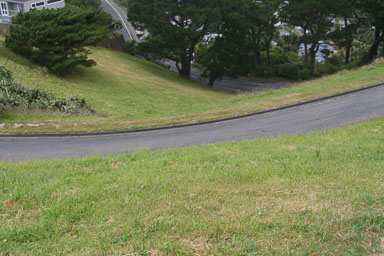 1227-Wellington-0026.jpg