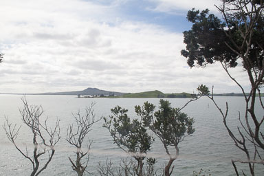0927-Auckland-0005.jpg