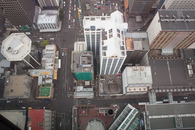 1010-Auckland-0020.jpg