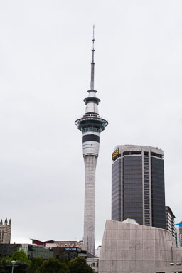 1010-Auckland-0085.jpg