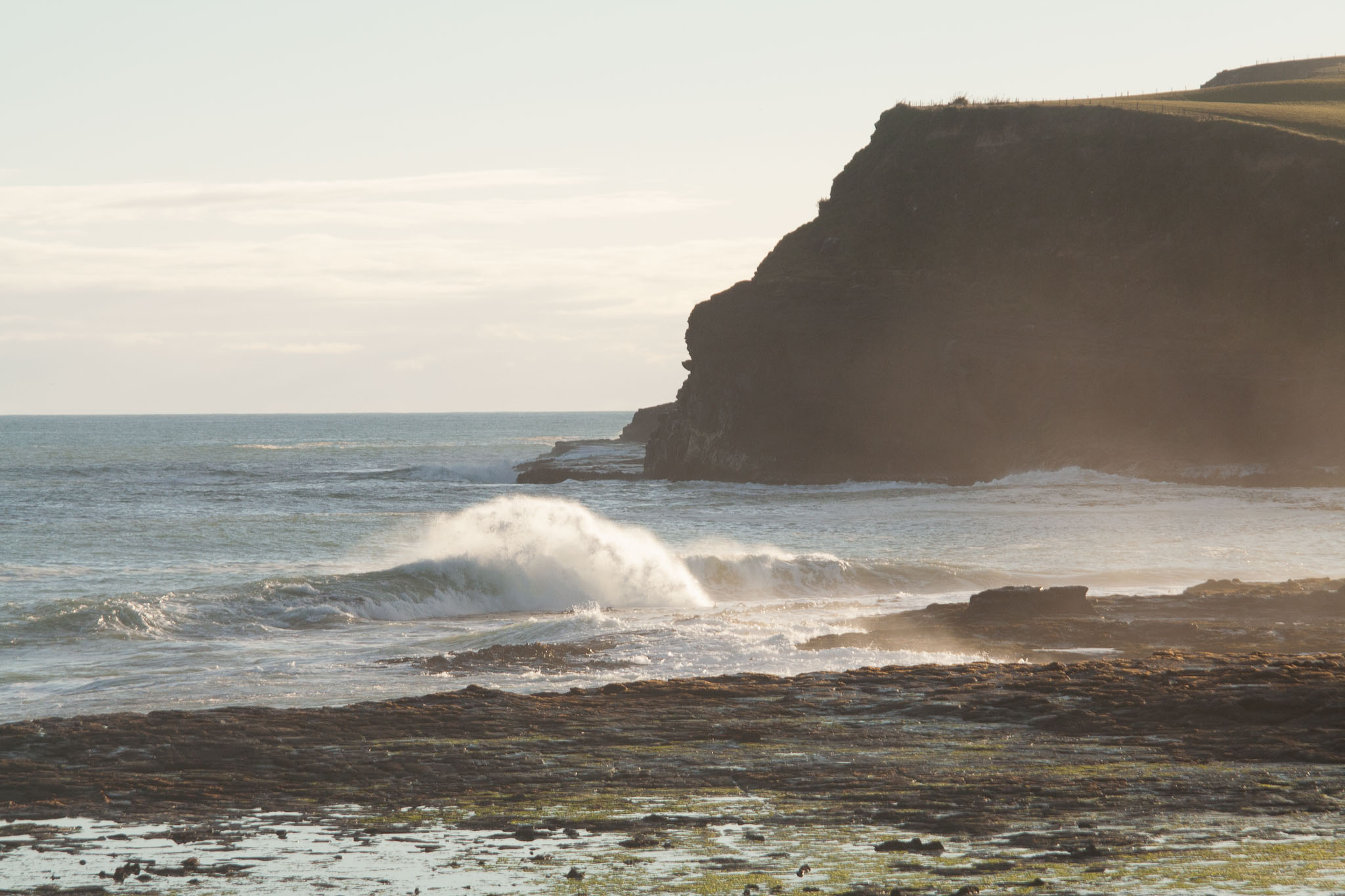 1006-Bluff_and_Invercargll-0061.jpg