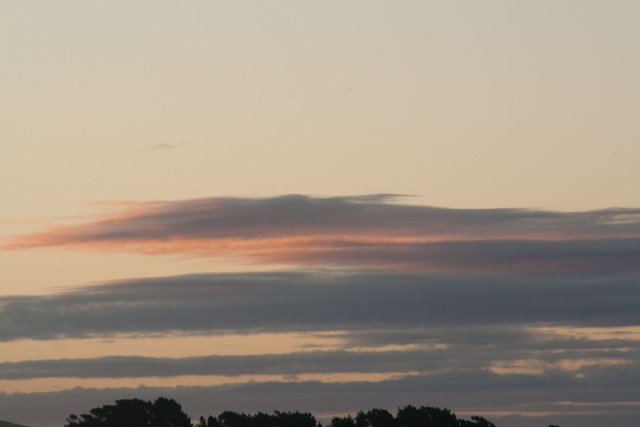 1006-Bluff_and_Invercargll-0067.jpg