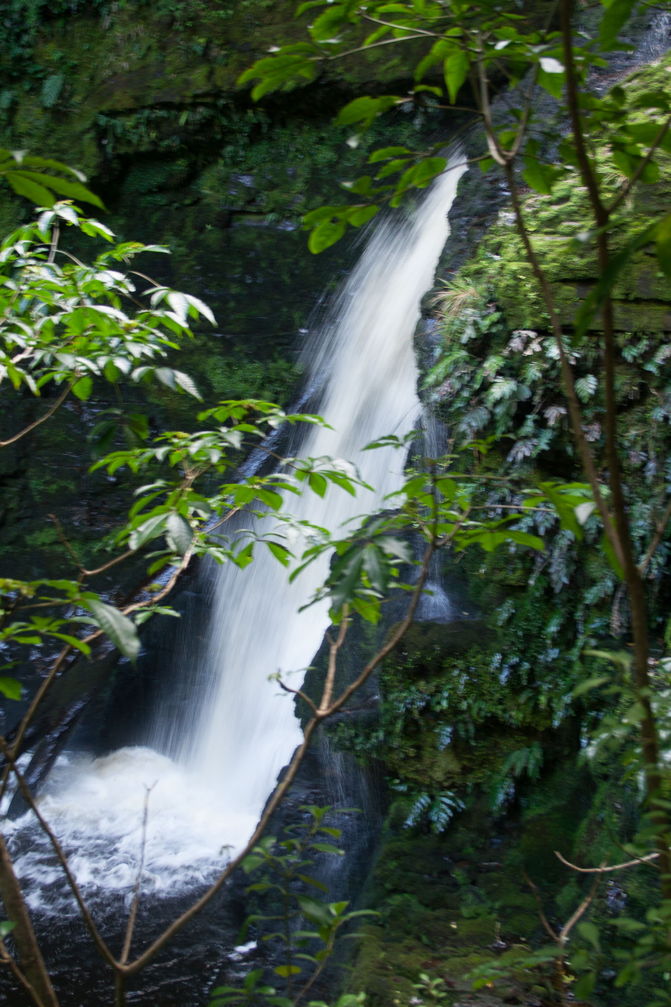 1006-Bluff_and_Invercargll-0094.jpg