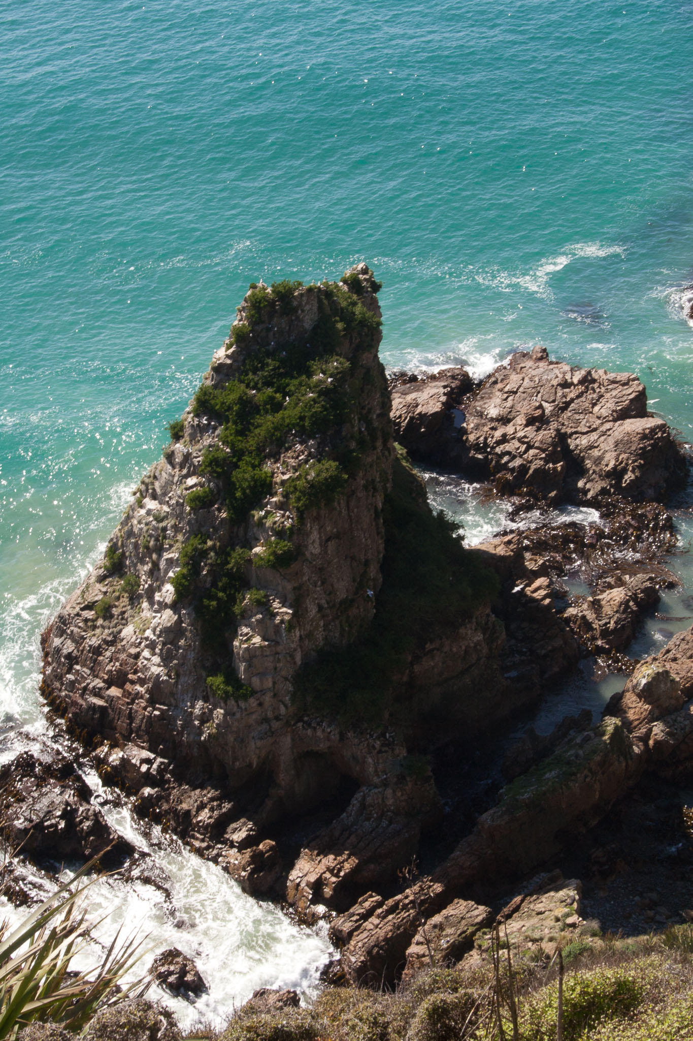 1004-Catlins-0006.jpg