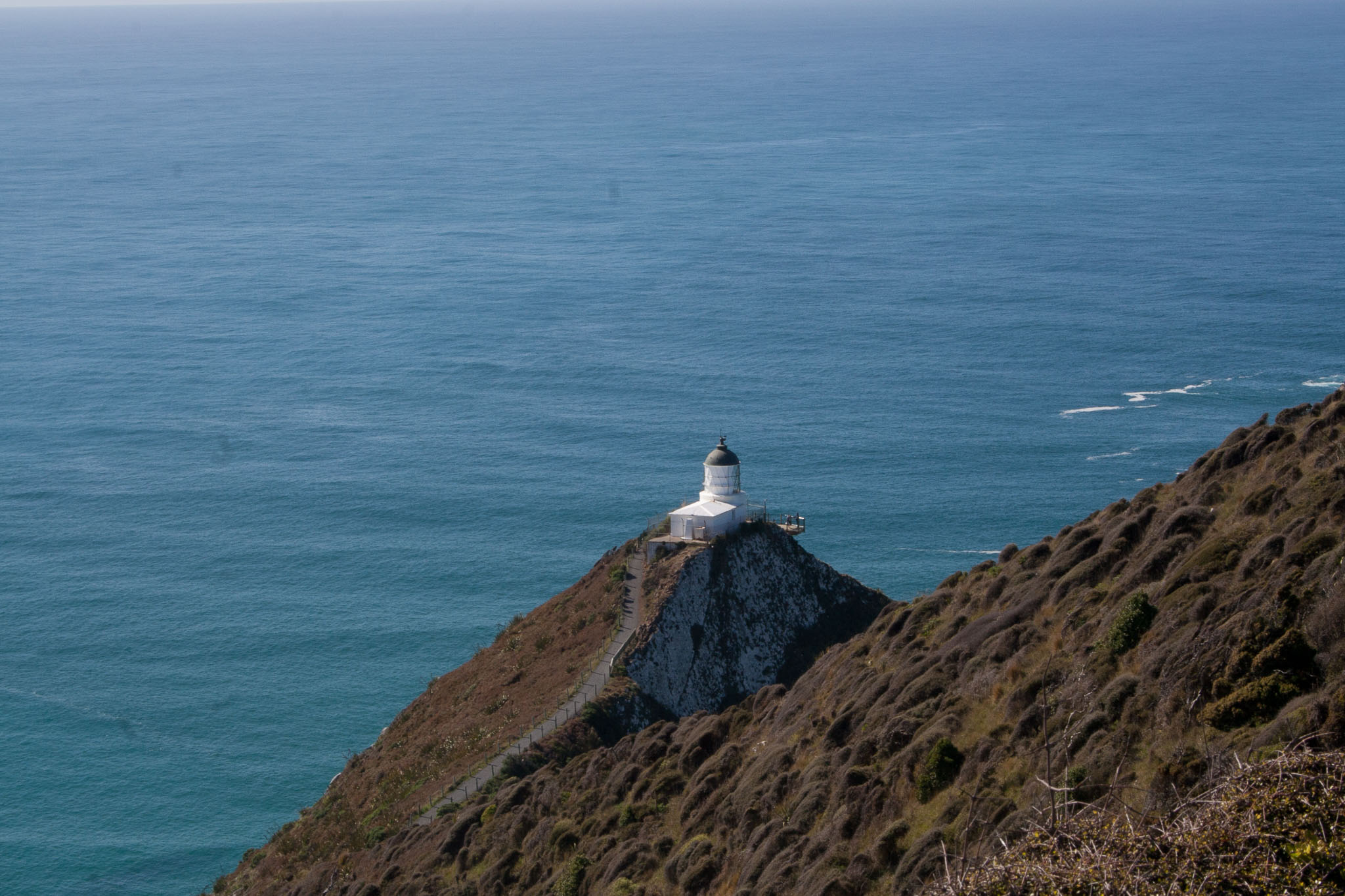 1004-Catlins-0010.jpg