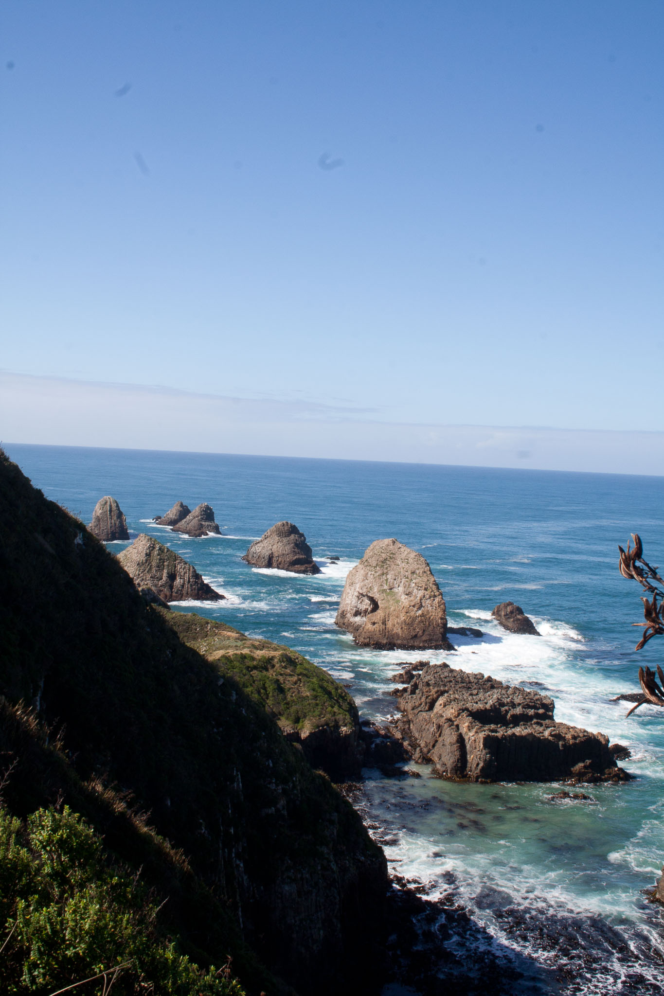 1004-Catlins-0019.jpg