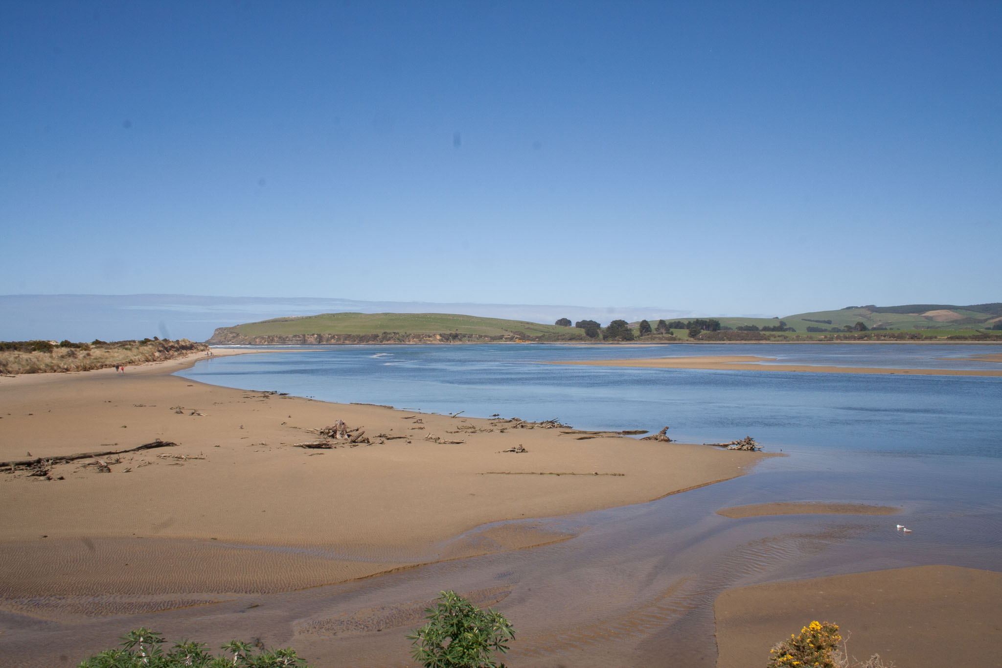 1005-Catlins-0045.jpg