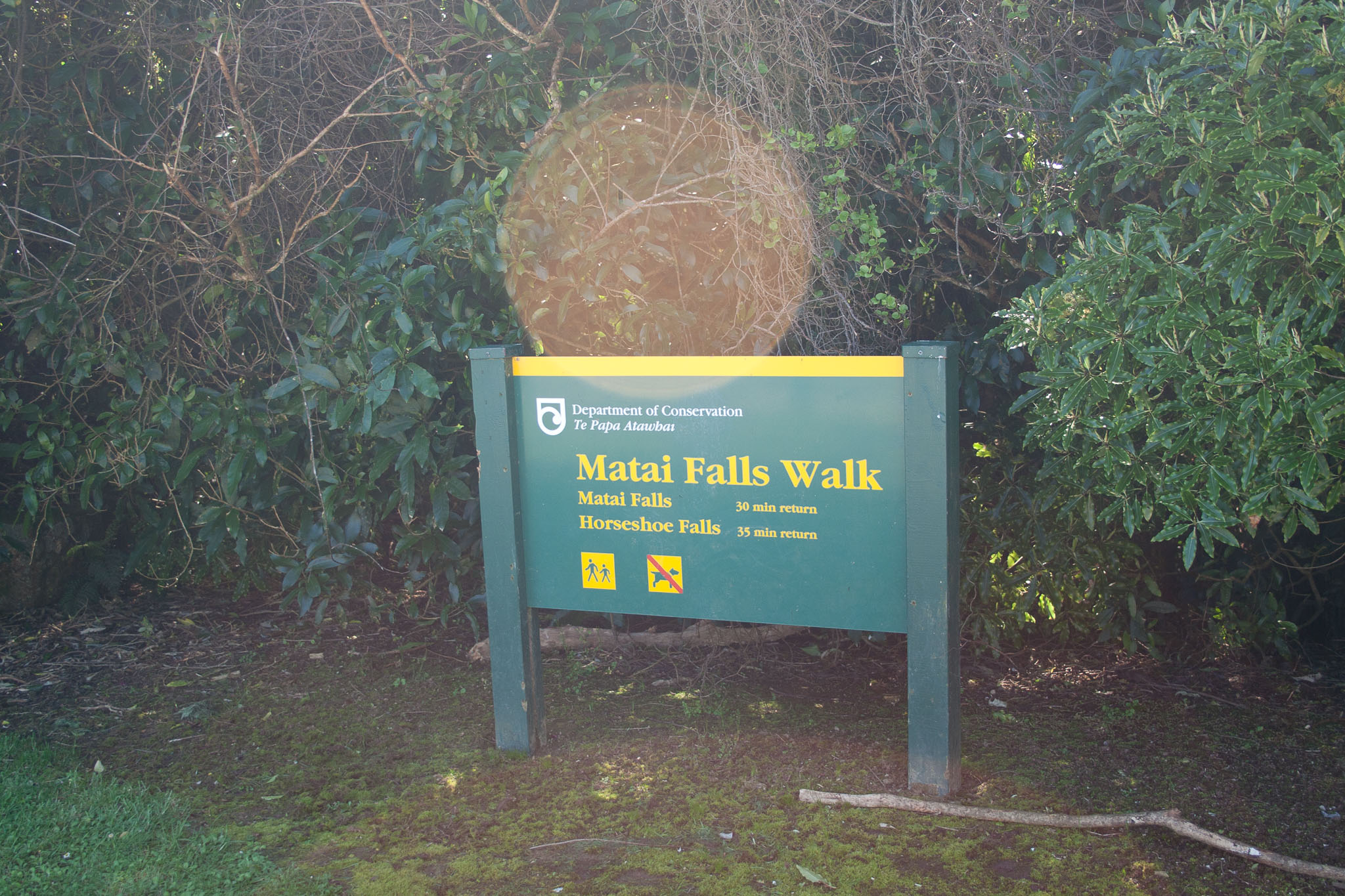 1005-Catlins-0088.jpg