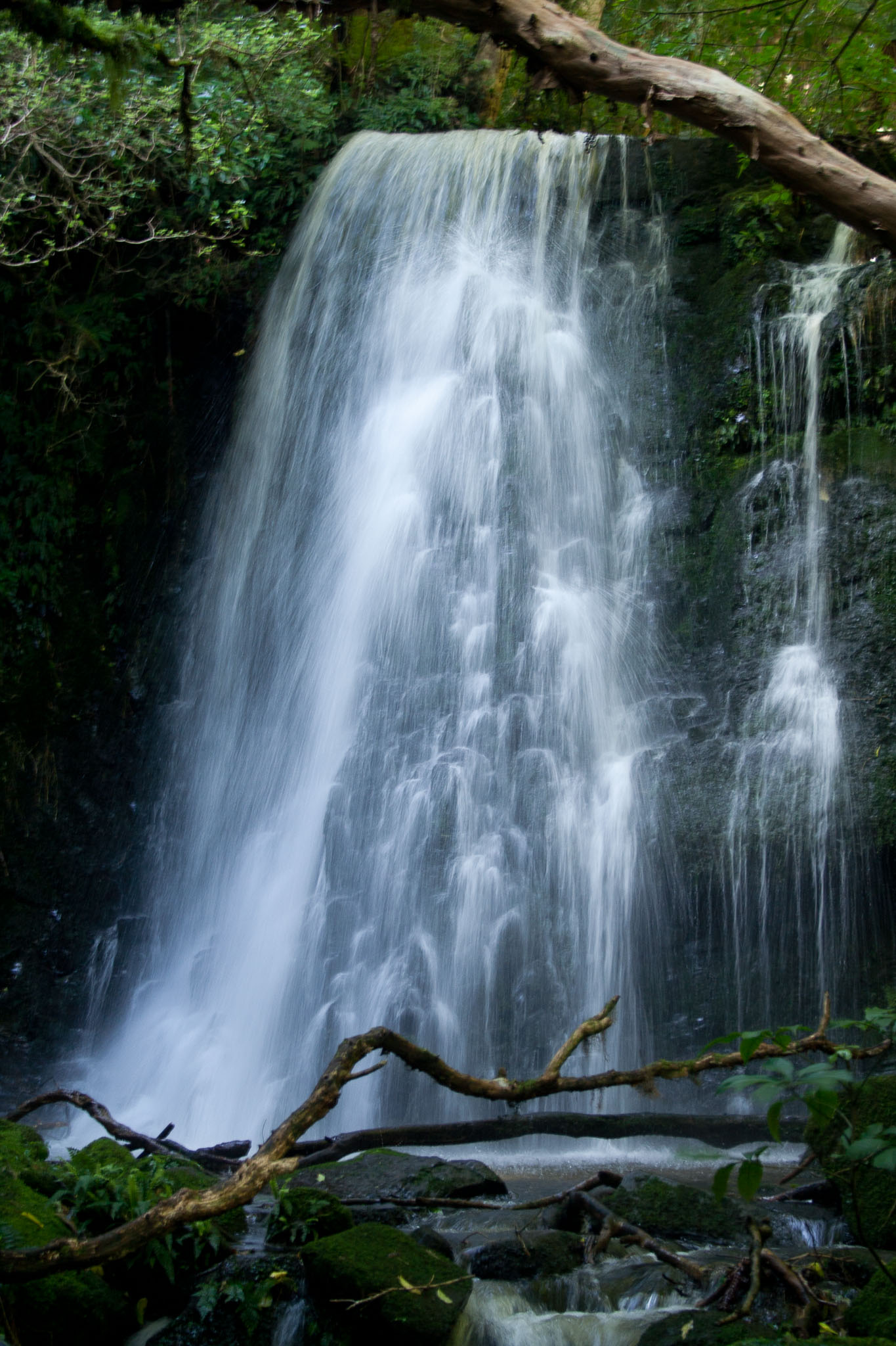 1005-Catlins-0090.jpg