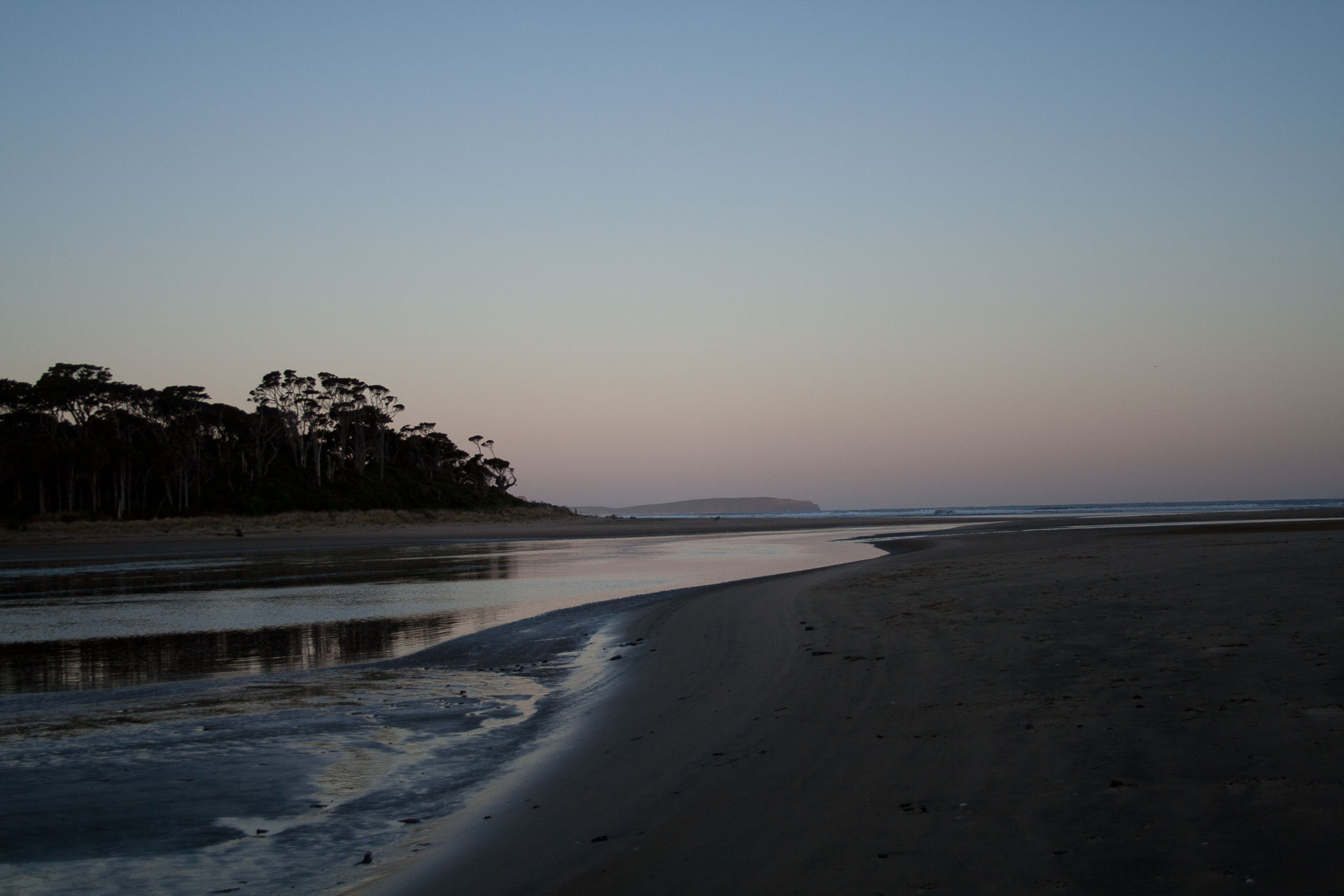 1005-Catlins-0100.jpg