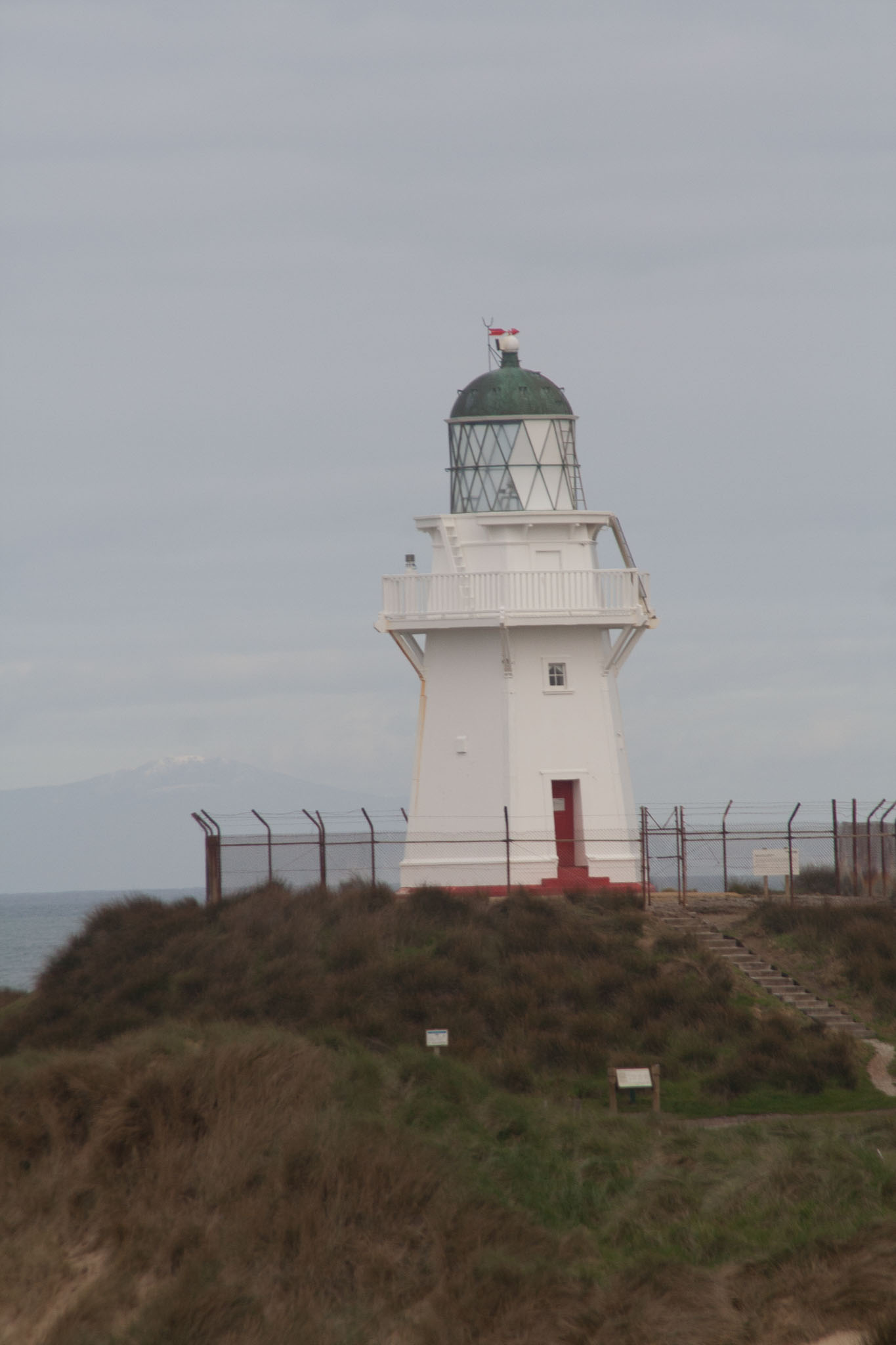 1005-Catlins-0145.jpg