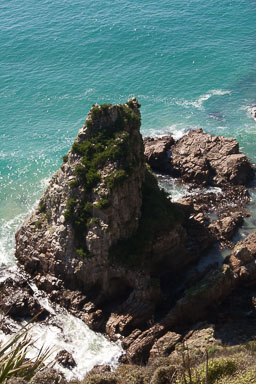 1004-Catlins-0006.jpg