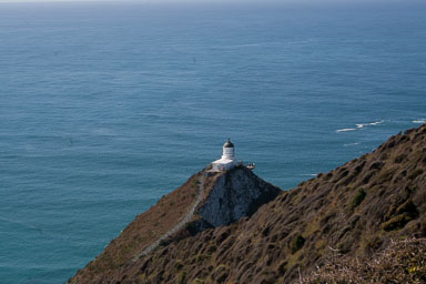 1004-Catlins-0010.jpg