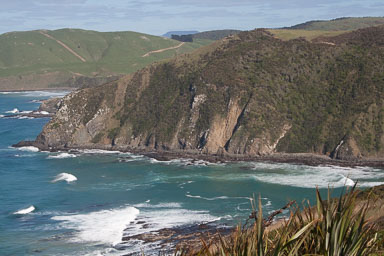 1004-Catlins-0017.jpg