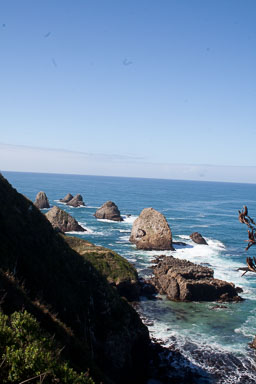1004-Catlins-0019.jpg