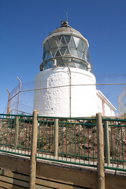 1004-Catlins-0031.jpg