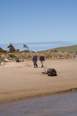1005-Catlins-0056.jpg