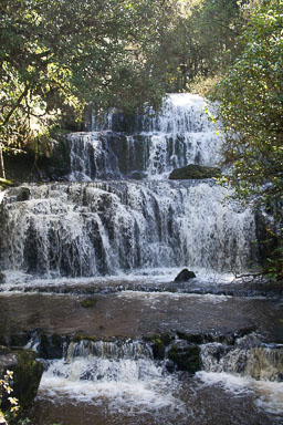 1005-Catlins-0060.jpg