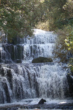 Catlins