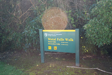 1005-Catlins-0088.jpg