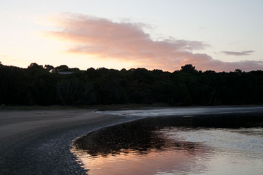 1005-Catlins-0106.jpg