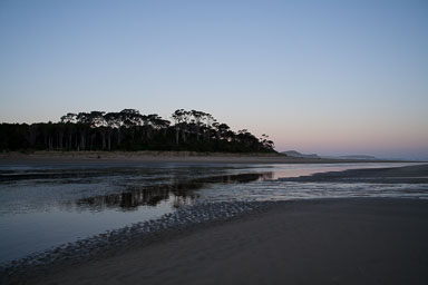 1005-Catlins-0109.jpg