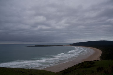 1005-Catlins-0117.jpg