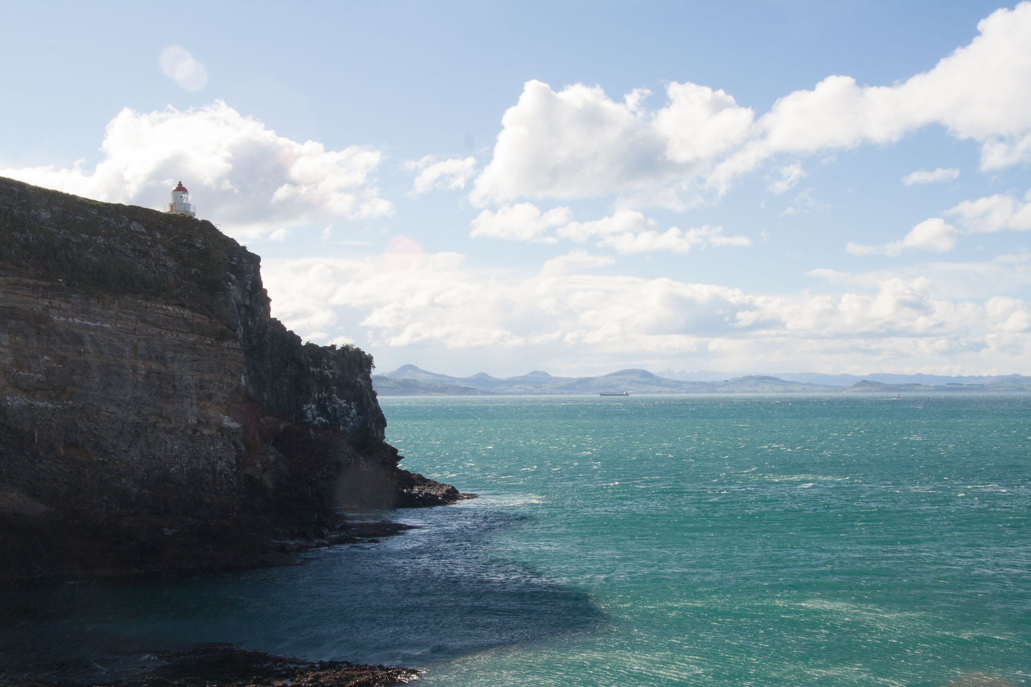 1003-Dunedin-0020.jpg