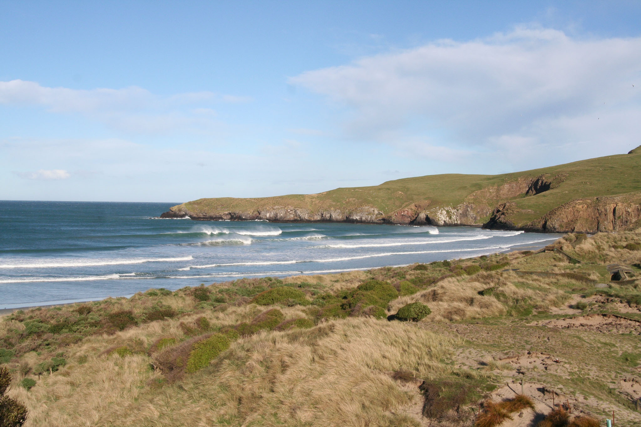 1003-Dunedin-0070.jpg