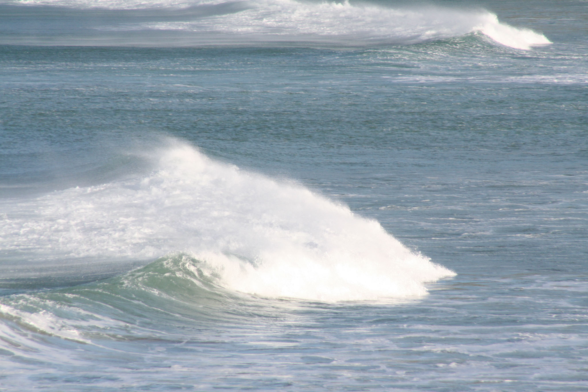 1003-Dunedin-0087.jpg