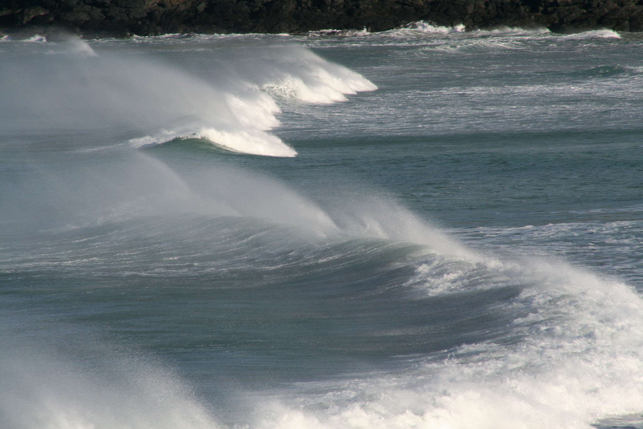 1003-Dunedin-0090.jpg