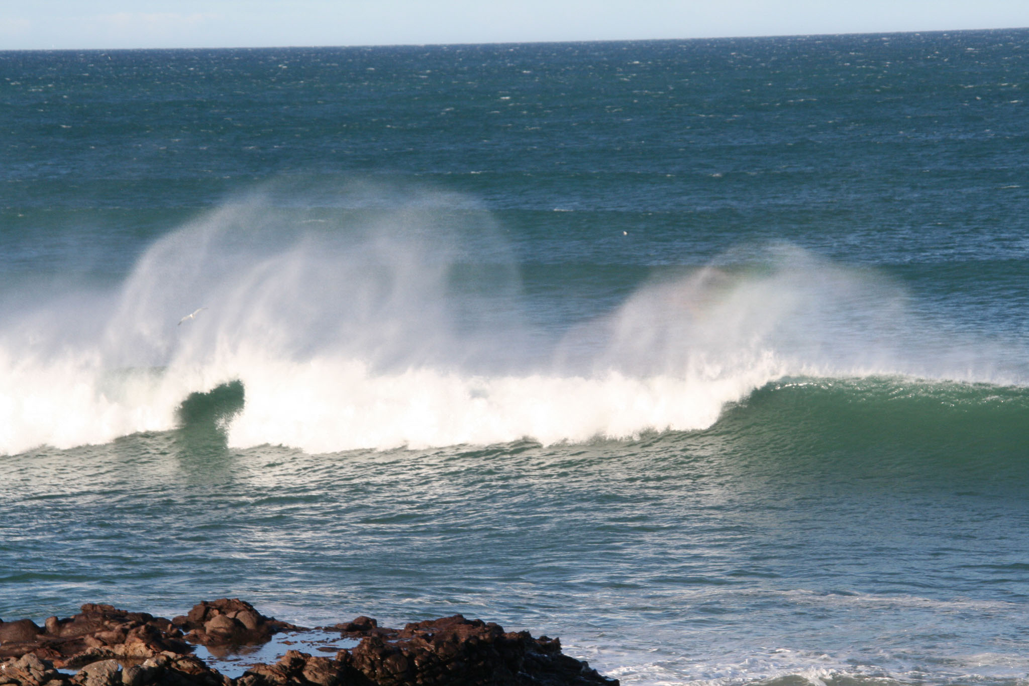 1003-Dunedin-0096.jpg