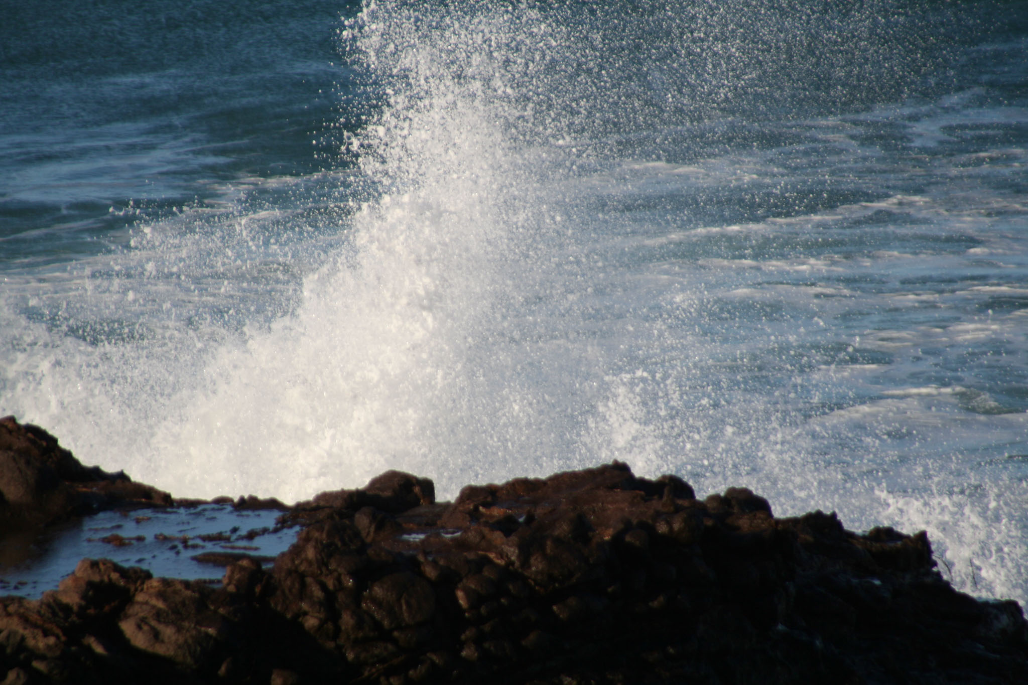 1003-Dunedin-0099.jpg