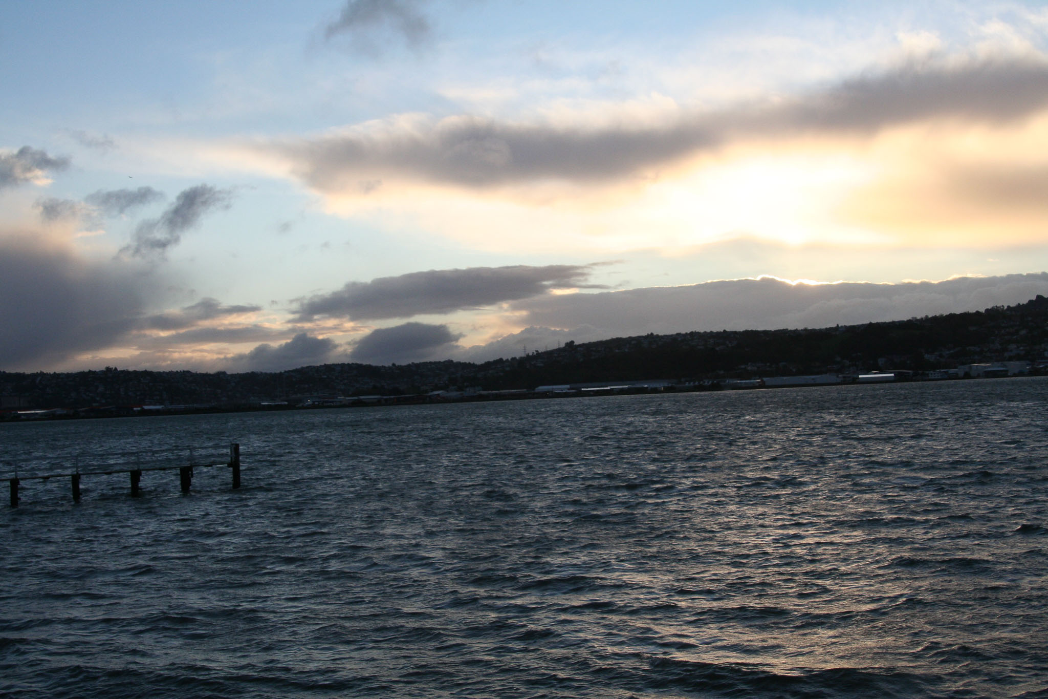 1003-Dunedin-0164.jpg