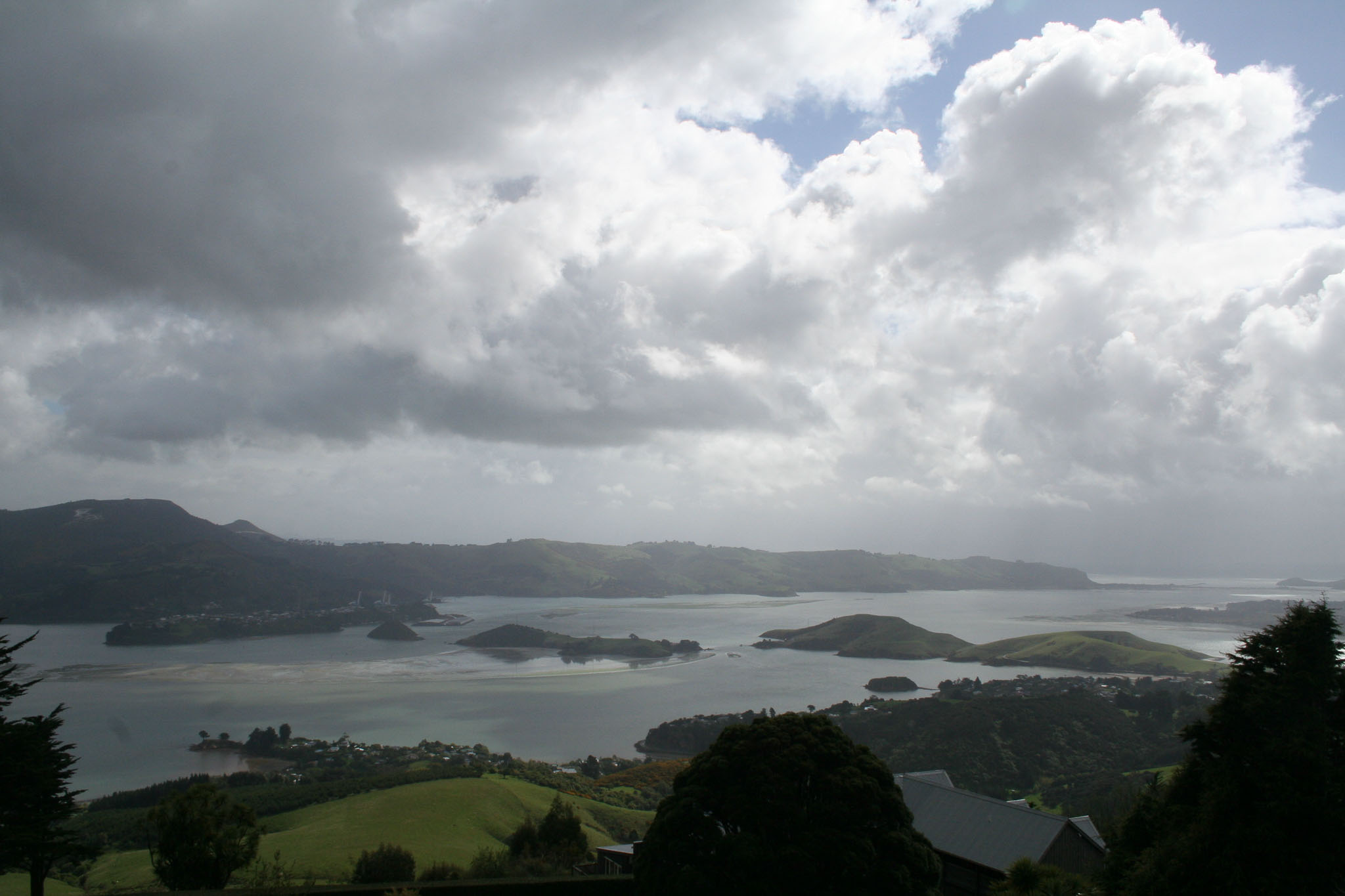 1003-Dunedin-0188.jpg
