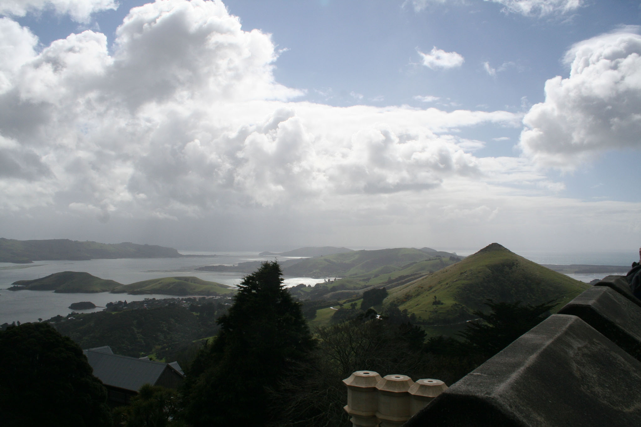 1003-Dunedin-0190.jpg
