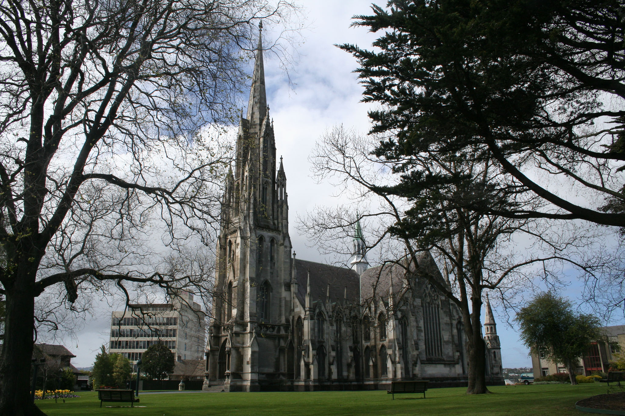 1004-Dunedin-0246.jpg