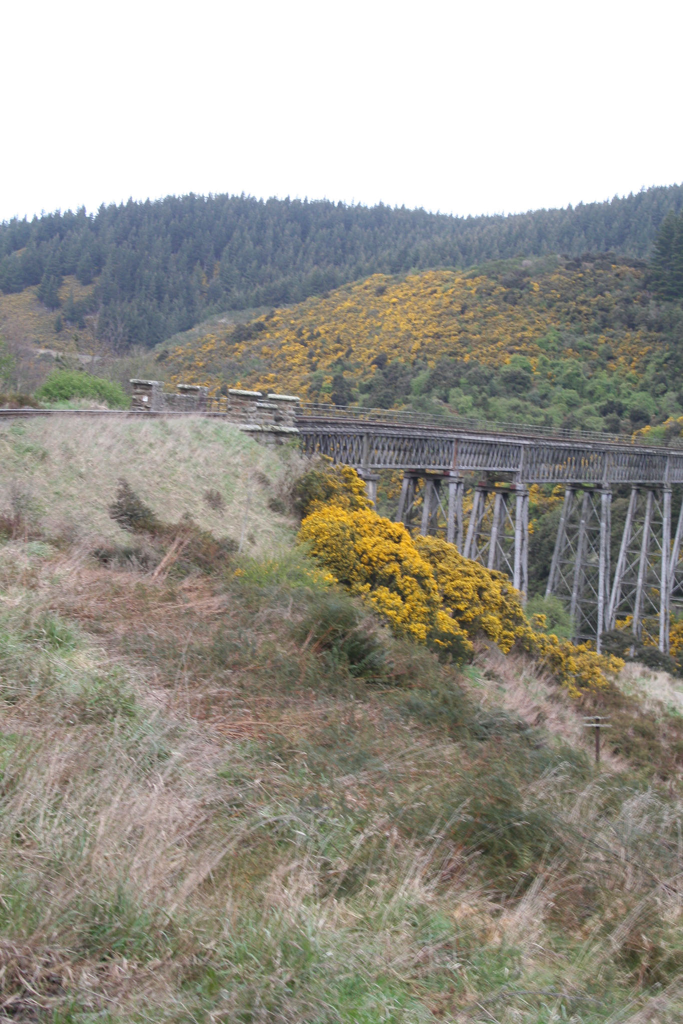 1004-Dunedin-0262.jpg